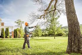 Best Storm Damage Tree Cleanup  in Posen, IL